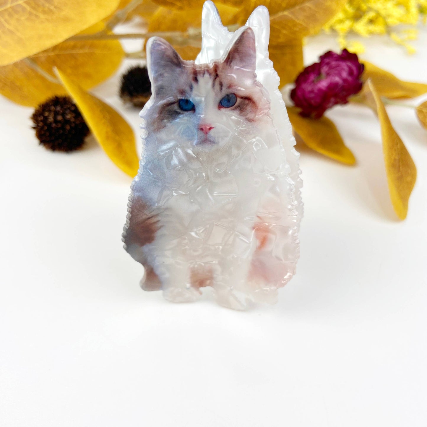 
                  
                    Champagne Cat Hair Claw No. 2
                  
                