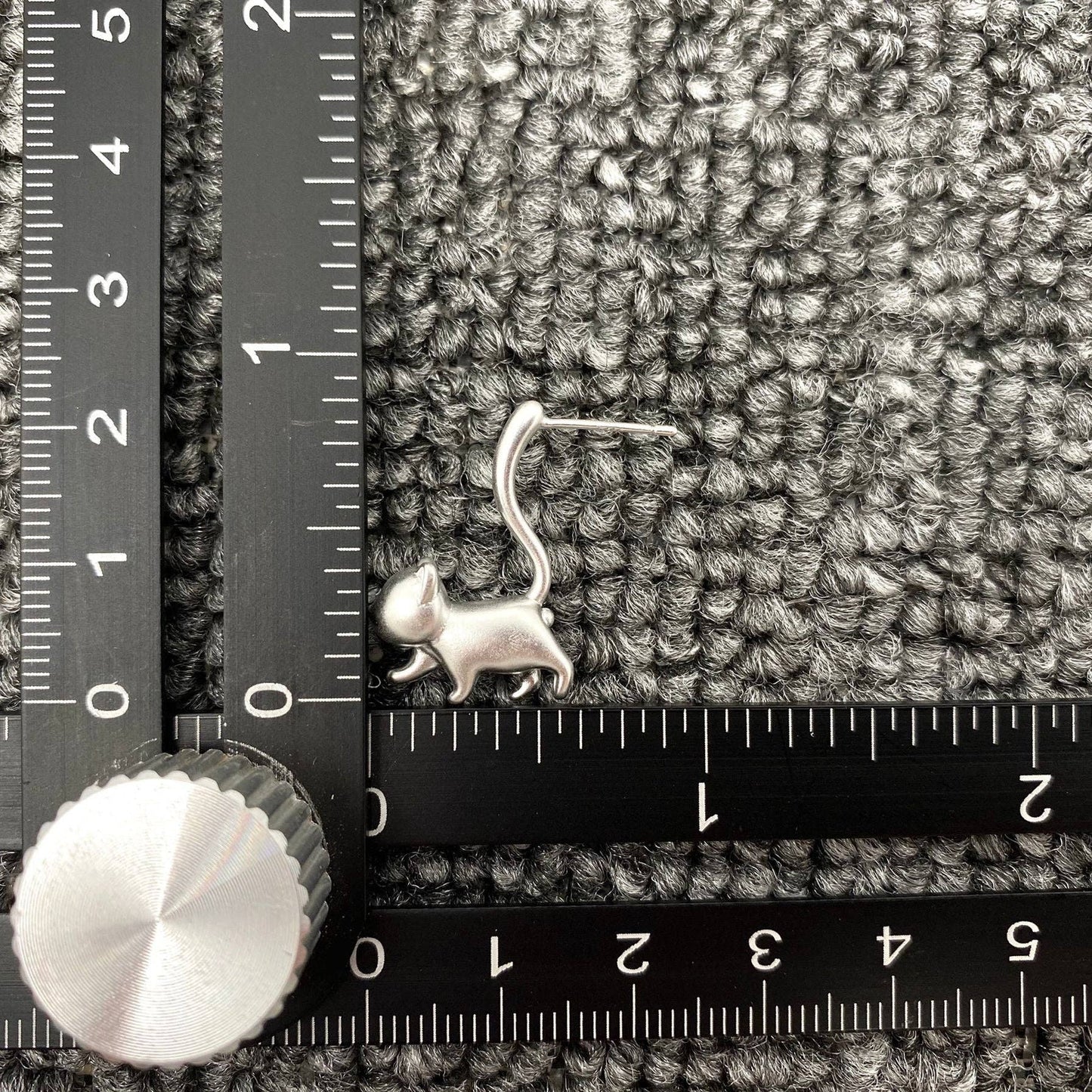 
                  
                    Cat Walk Frosted Ear Studs
                  
                