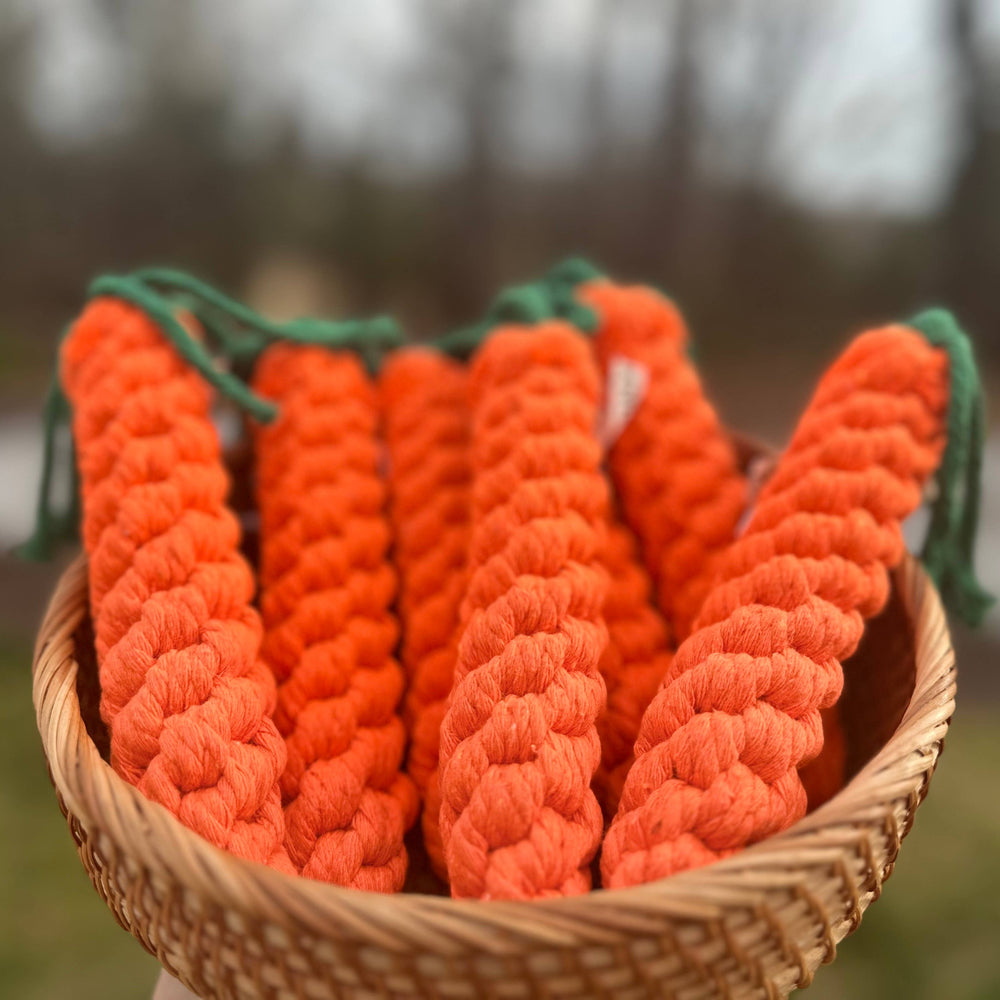 
                  
                    Carrot Dog Rope Toy
                  
                