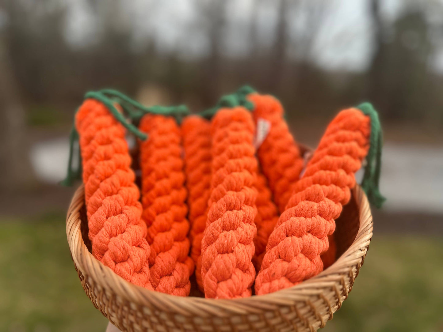 
                  
                    Carrot Dog Rope Toy
                  
                