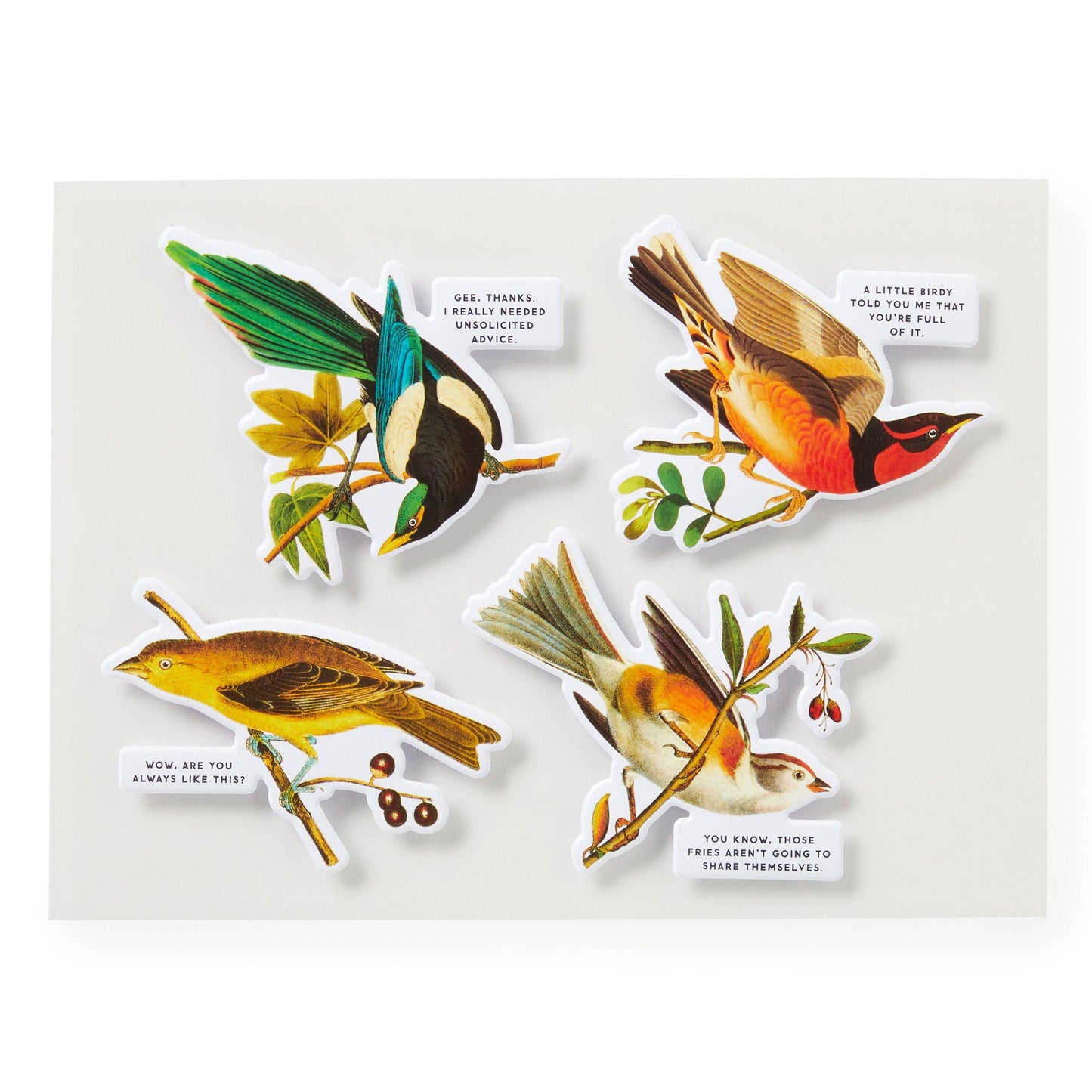 
                  
                    Salty Birds 1000 Piece Puzzle by Brass Monkey
                  
                