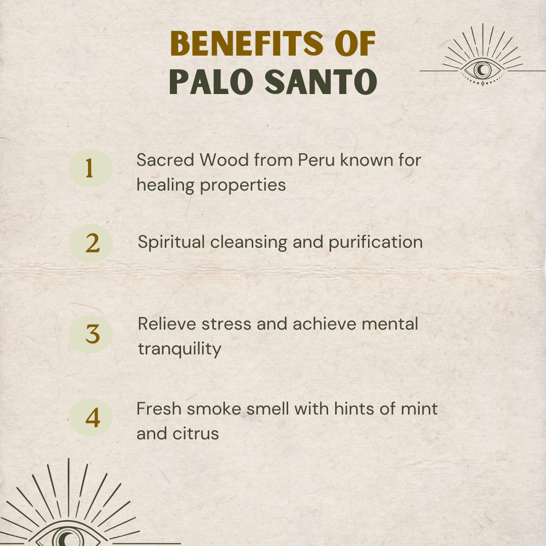 
                  
                    Palo Santo XL Incense Cone
                  
                