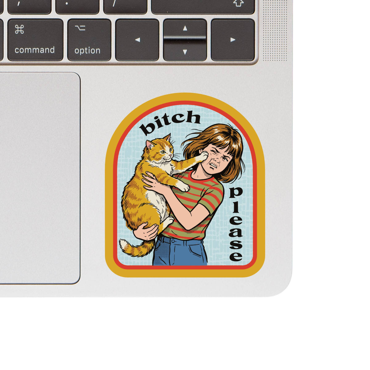 
                  
                    Bitch Please Face Slap Kitty Sticker
                  
                
