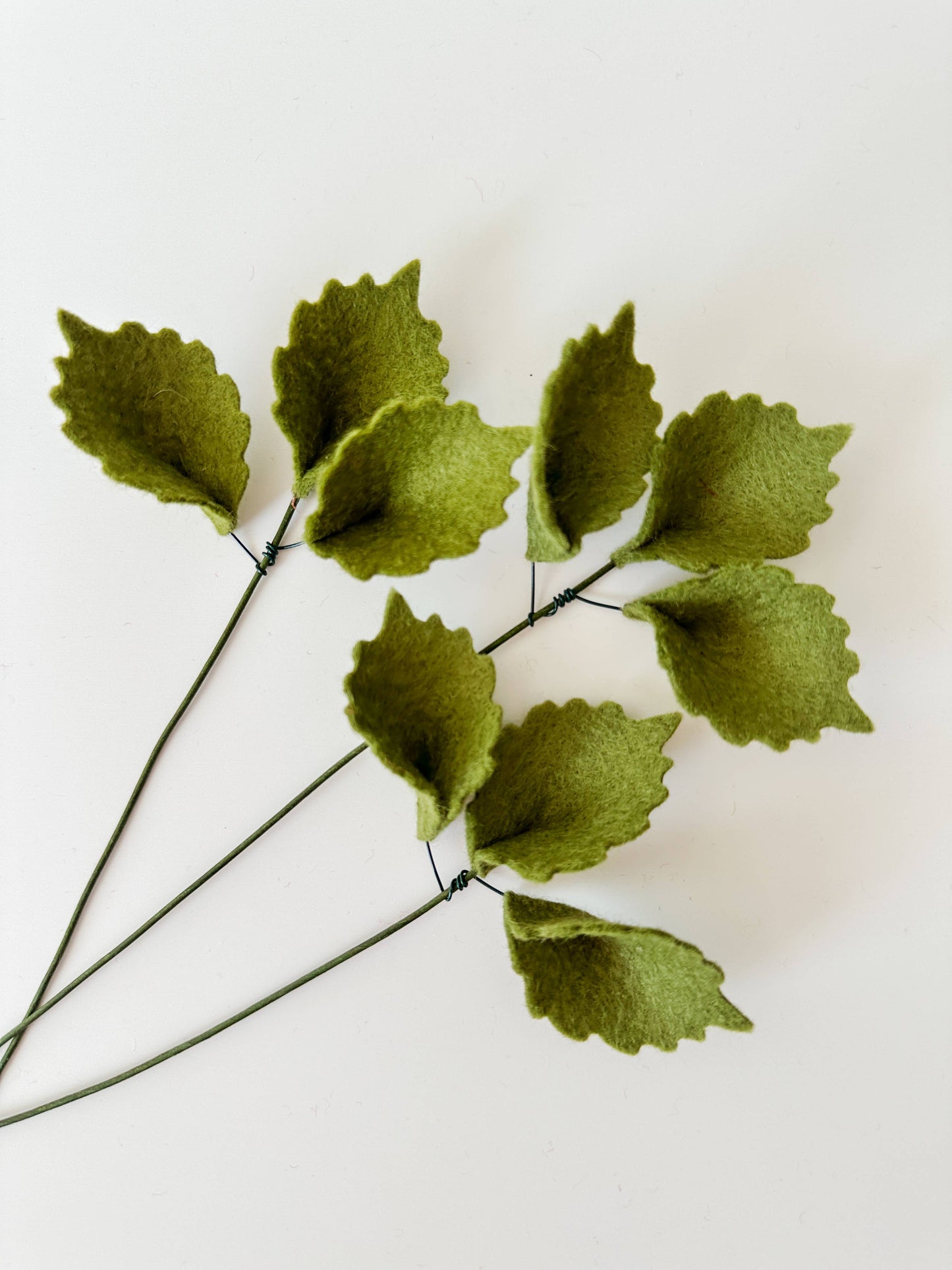 
                  
                    Ridged Tri-Leaf Felt Stem
                  
                