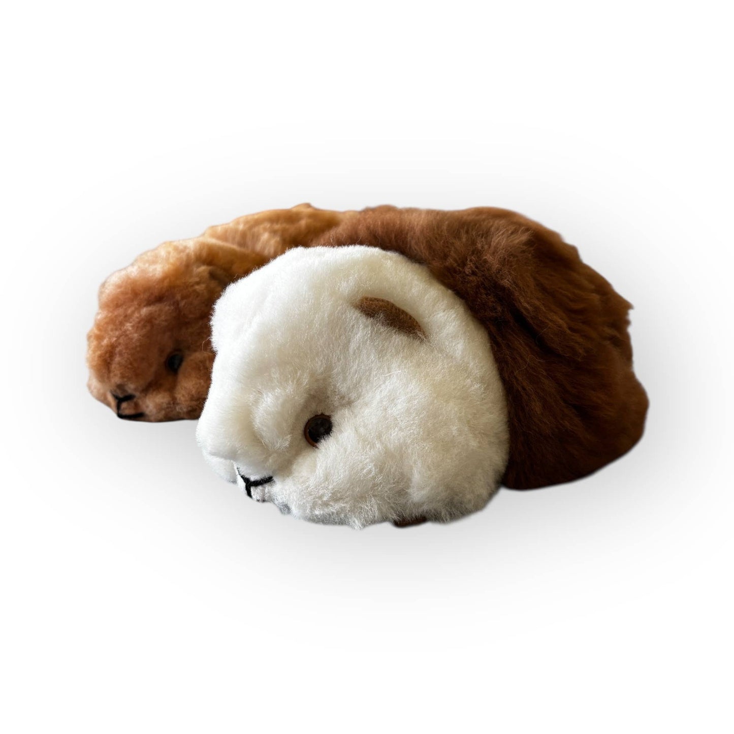 
                  
                    The Floofiest Guinea Pig of Alpaca Wool
                  
                