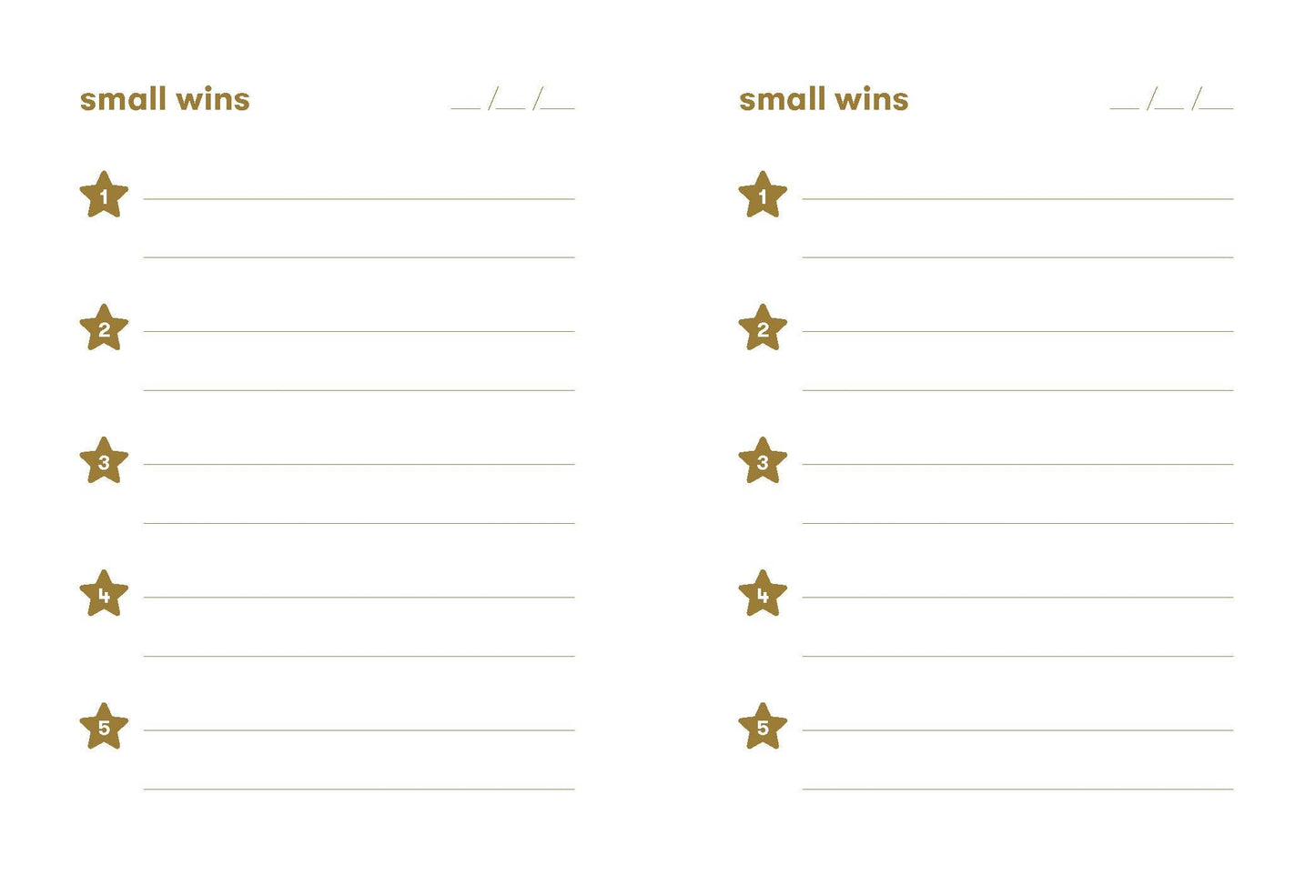 
                  
                    Small Wins
                  
                