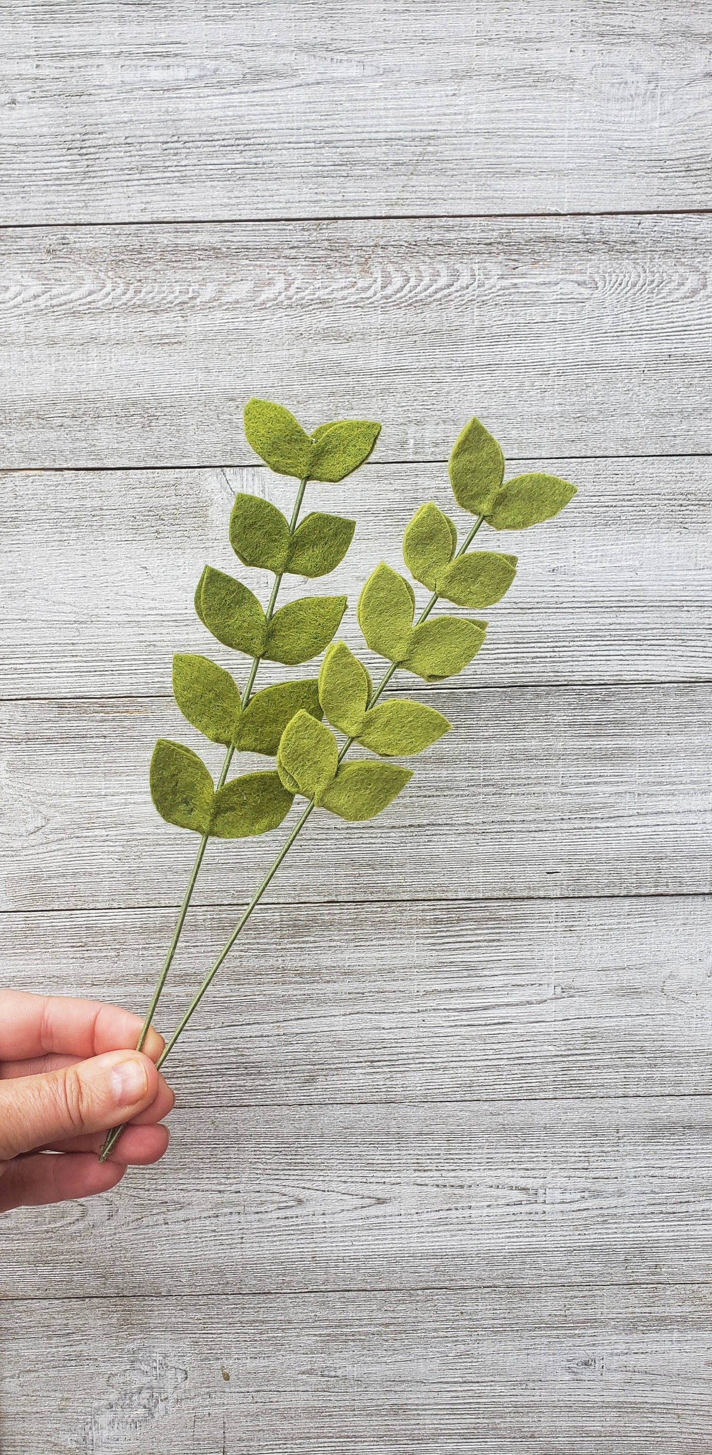 
                  
                    Felt Stem: Fern
                  
                