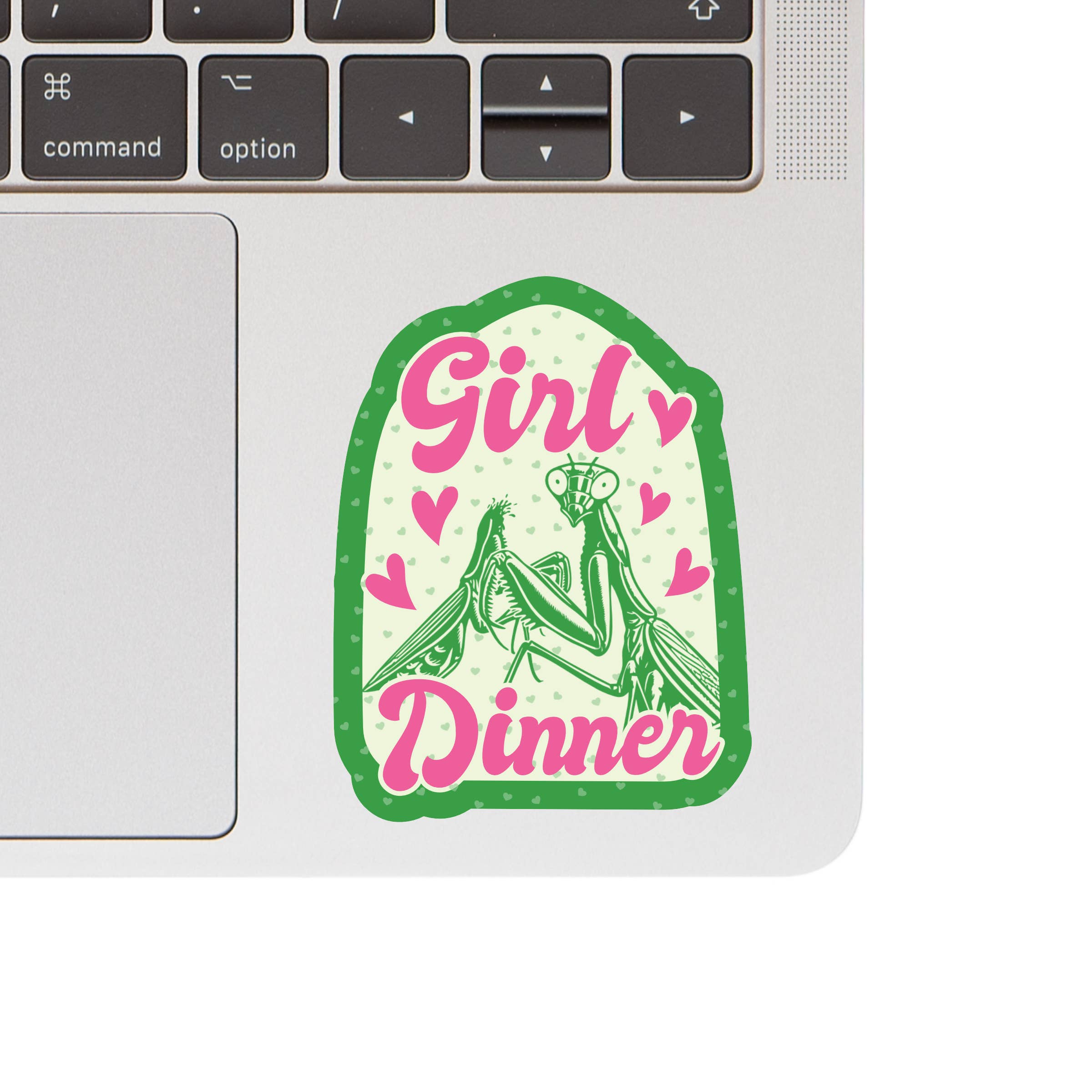 【希少プロモ盤！】PRAYING MANTIS /THIS TIME GIRL Praying Mantis Girl Dinner Sticker – Bowerbird