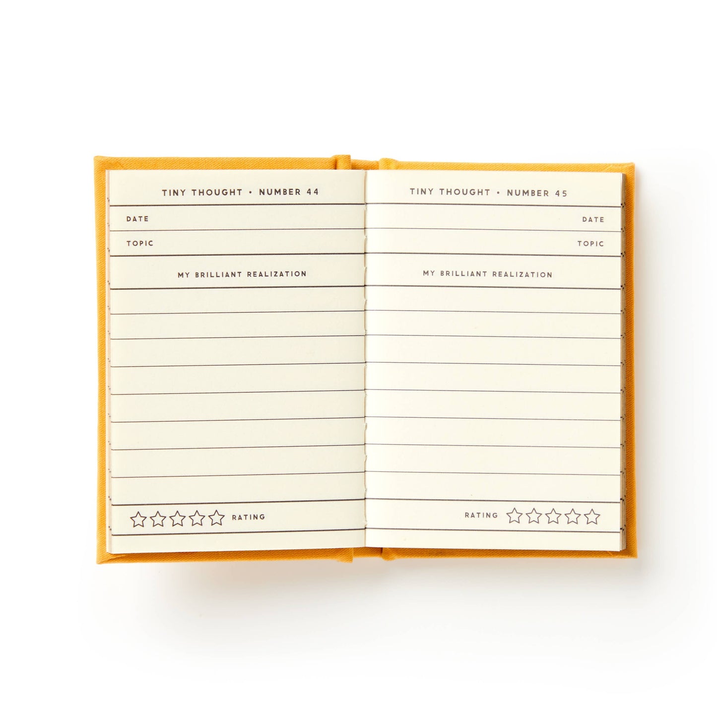 
                  
                    A Tiny Diary for Tiny Thoughts
                  
                