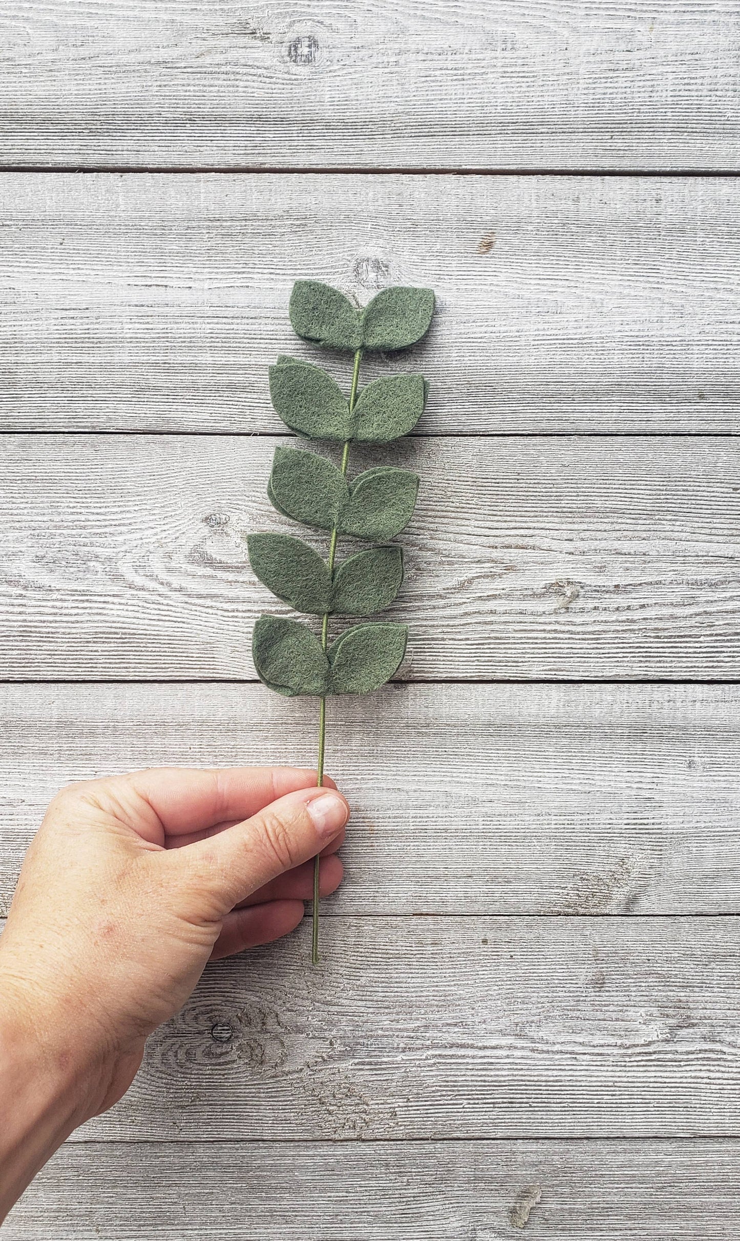 
                  
                    Felt Stem: Fern
                  
                