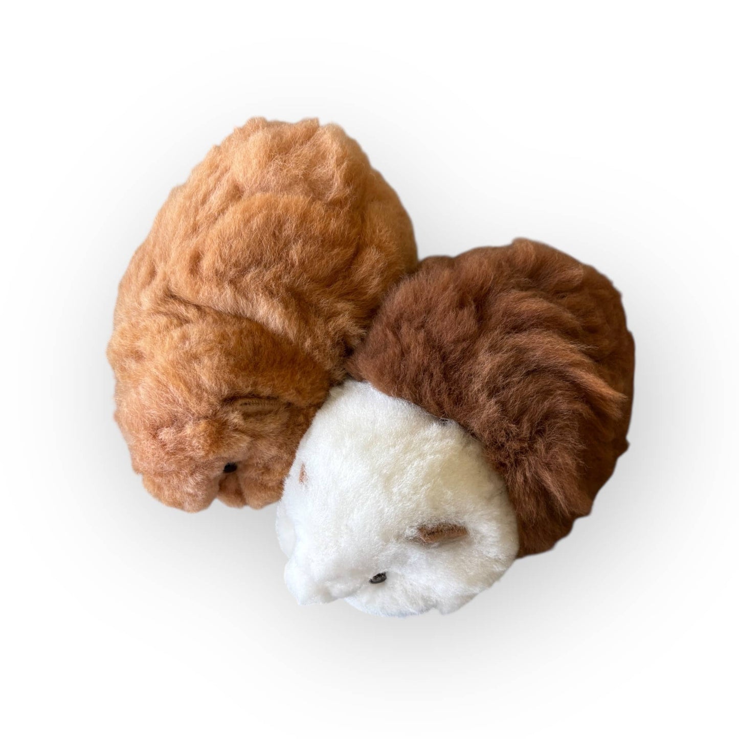 
                  
                    The Floofiest Guinea Pig of Alpaca Wool
                  
                