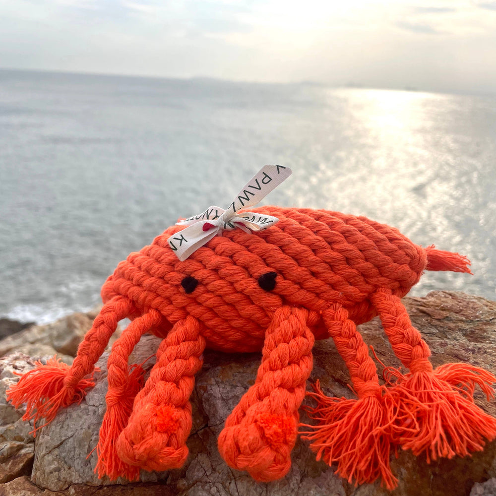 
                  
                    Happy the Crab Dog Rope Toy
                  
                