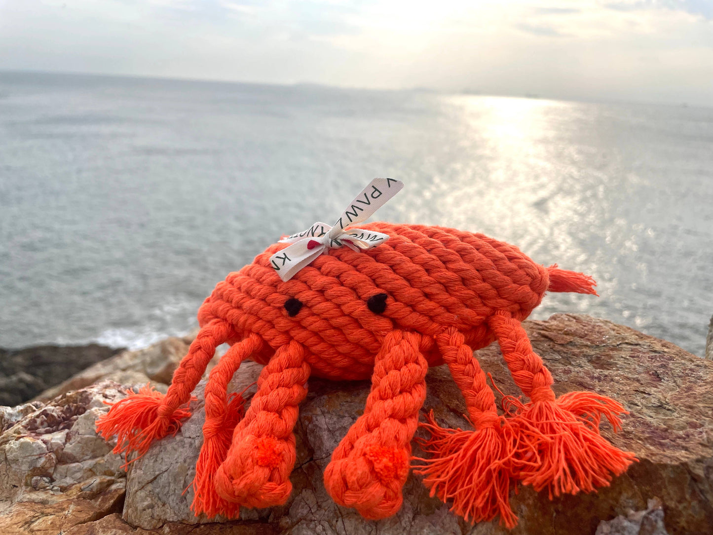 
                  
                    Happy the Crab Dog Rope Toy
                  
                