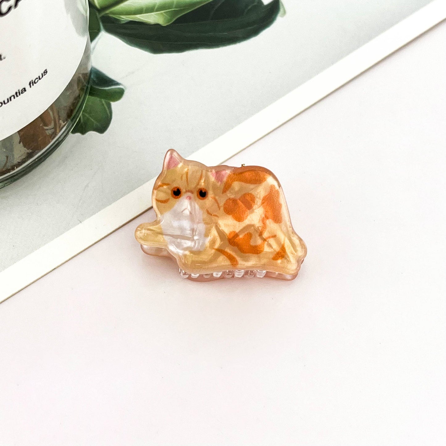 
                  
                    Mini Kitten Hair Claw Claw
                  
                