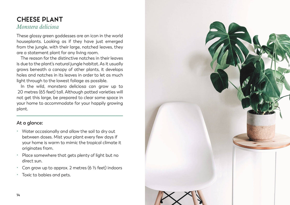 
                  
                    The Little Book for Plant Parents
                  
                