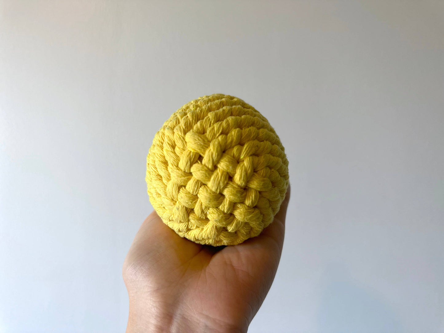 
                  
                    Pineapple Dog Rope Toy
                  
                
