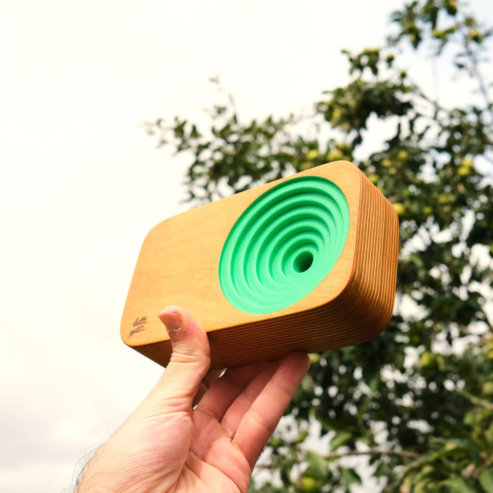 
                  
                    The Wooden Sound System
                  
                