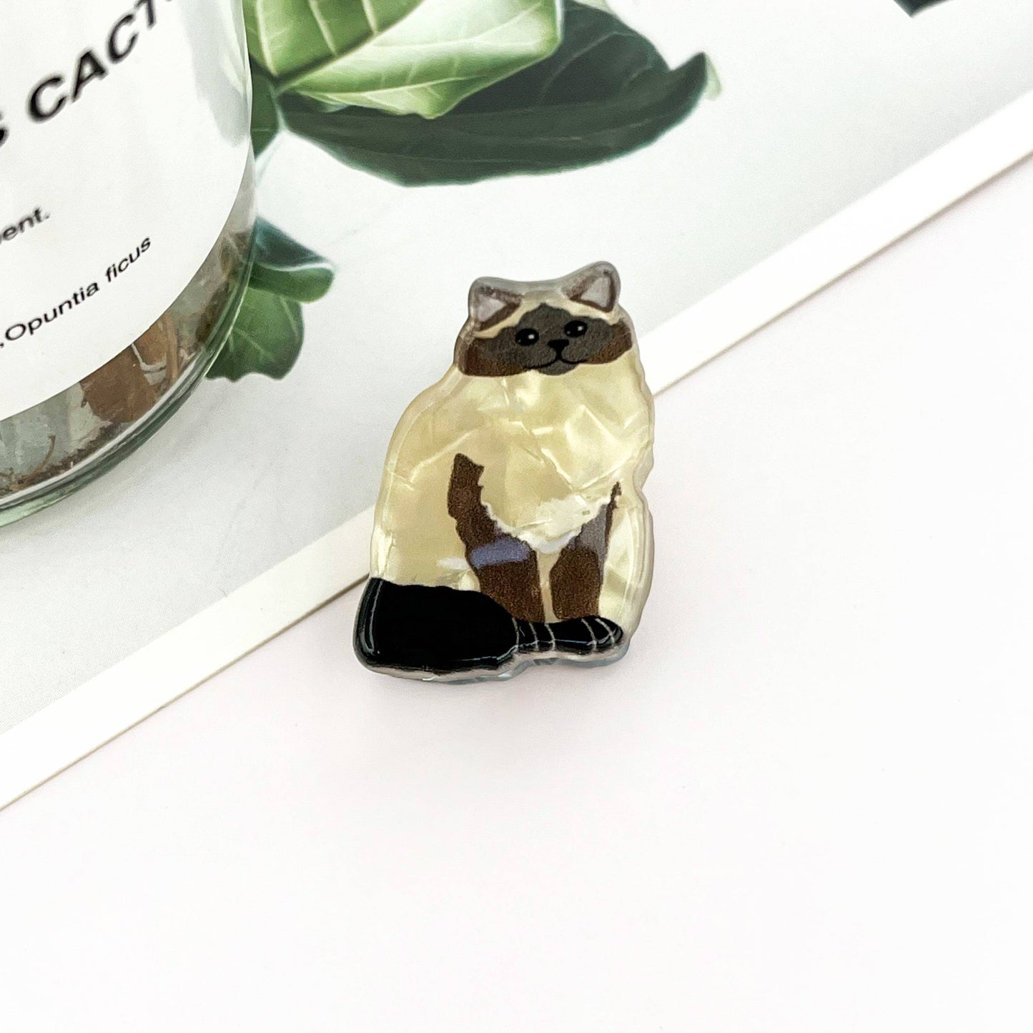 
                  
                    Mini Kitten Hair Claw Claw
                  
                