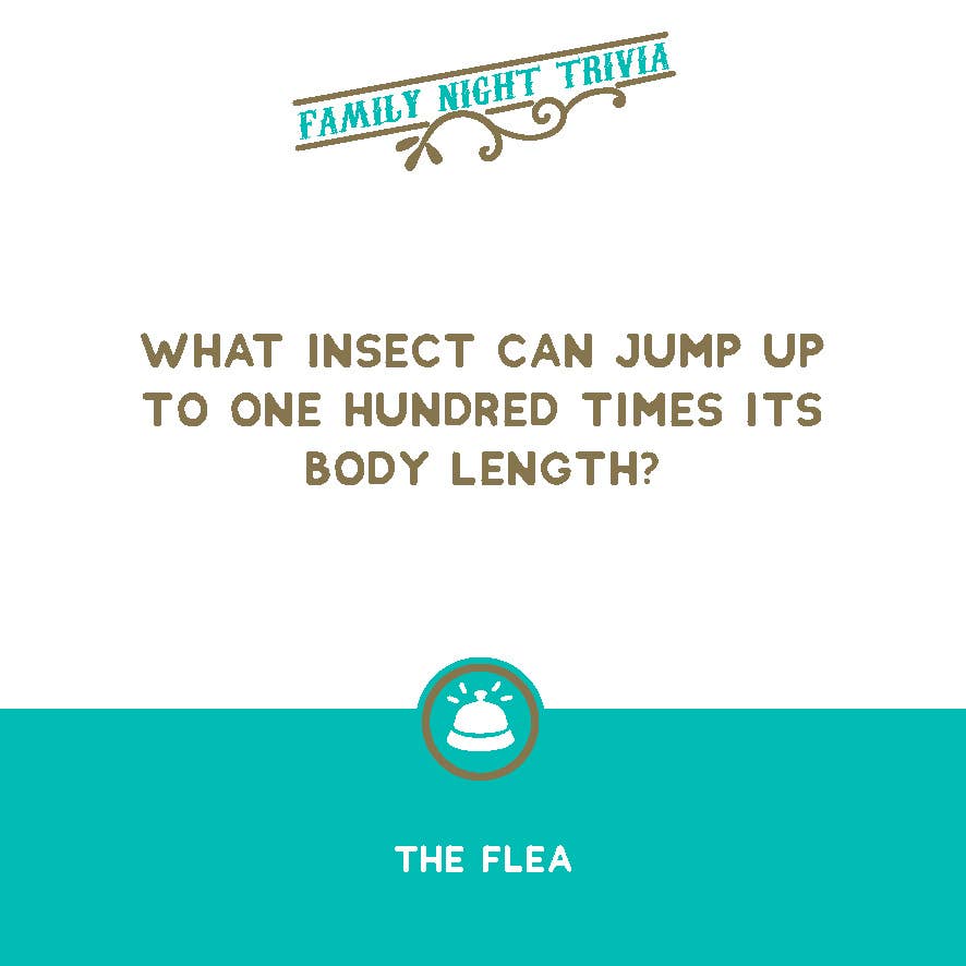 
                  
                    That Rings a Bell! Game: Family Night Trivia
                  
                
