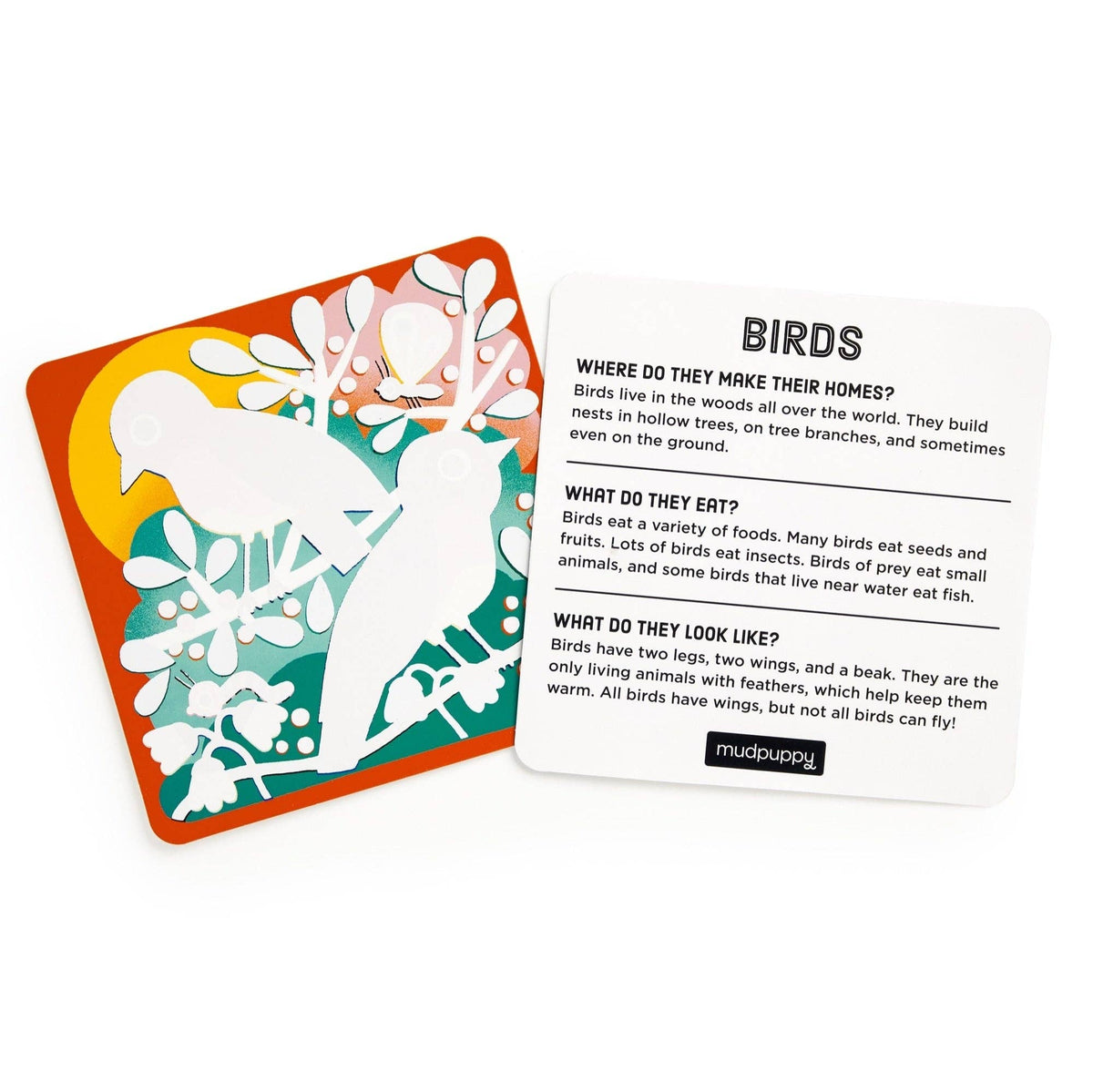 
                  
                    Woodland Friends: A Color Magic Water-Reveal Kit
                  
                