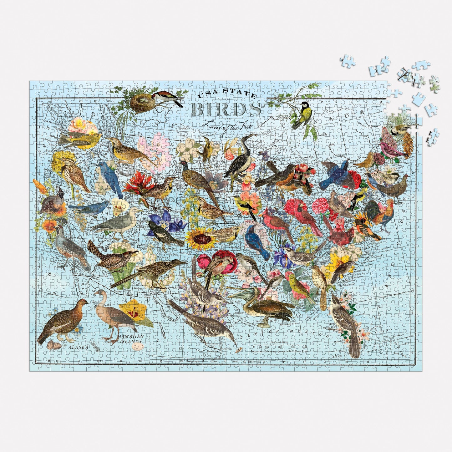 
                  
                    State Birds 1000 Piece Puzzle by Wendy Gold
                  
                