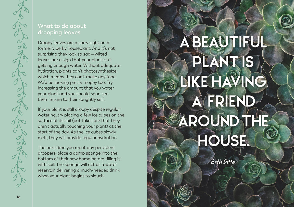 
                  
                    The Little Book for Plant Parents
                  
                