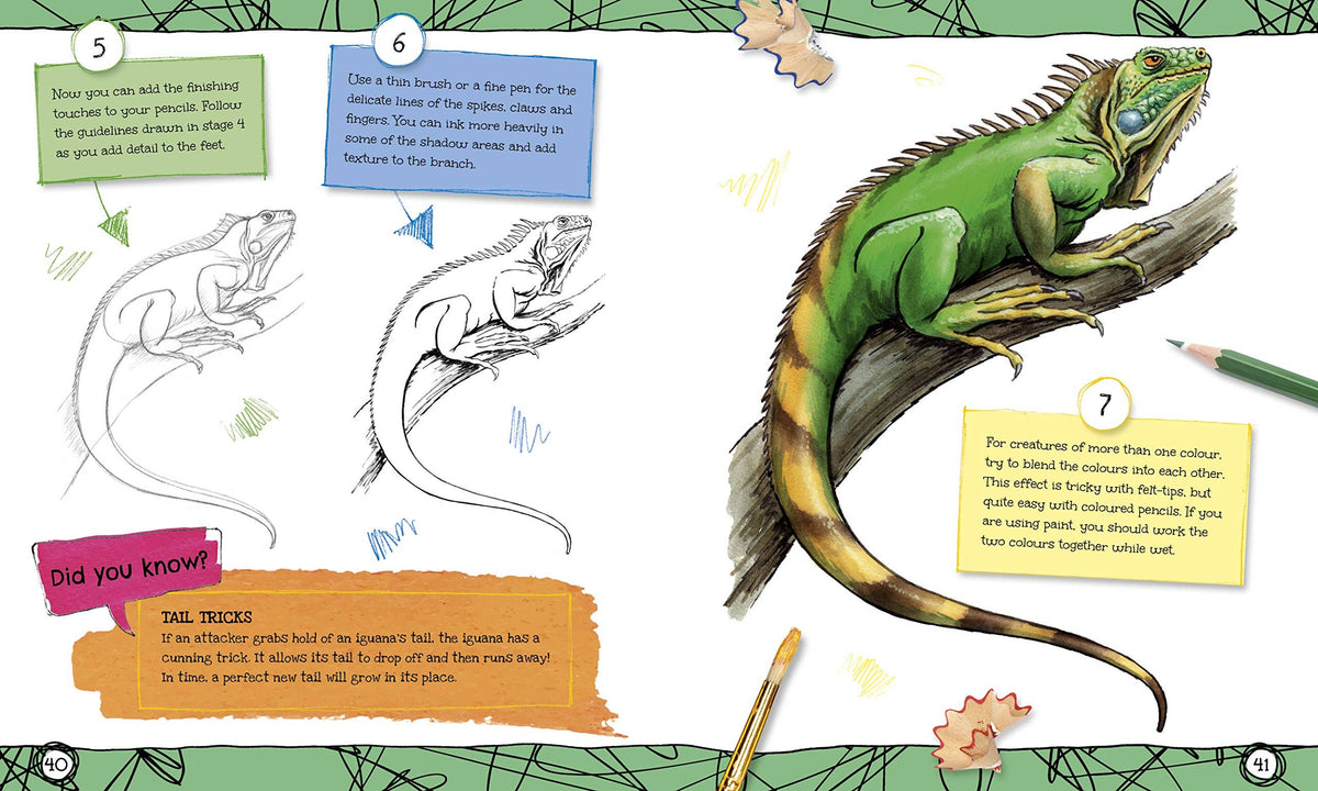 
                  
                    How To Draw Everything
                  
                