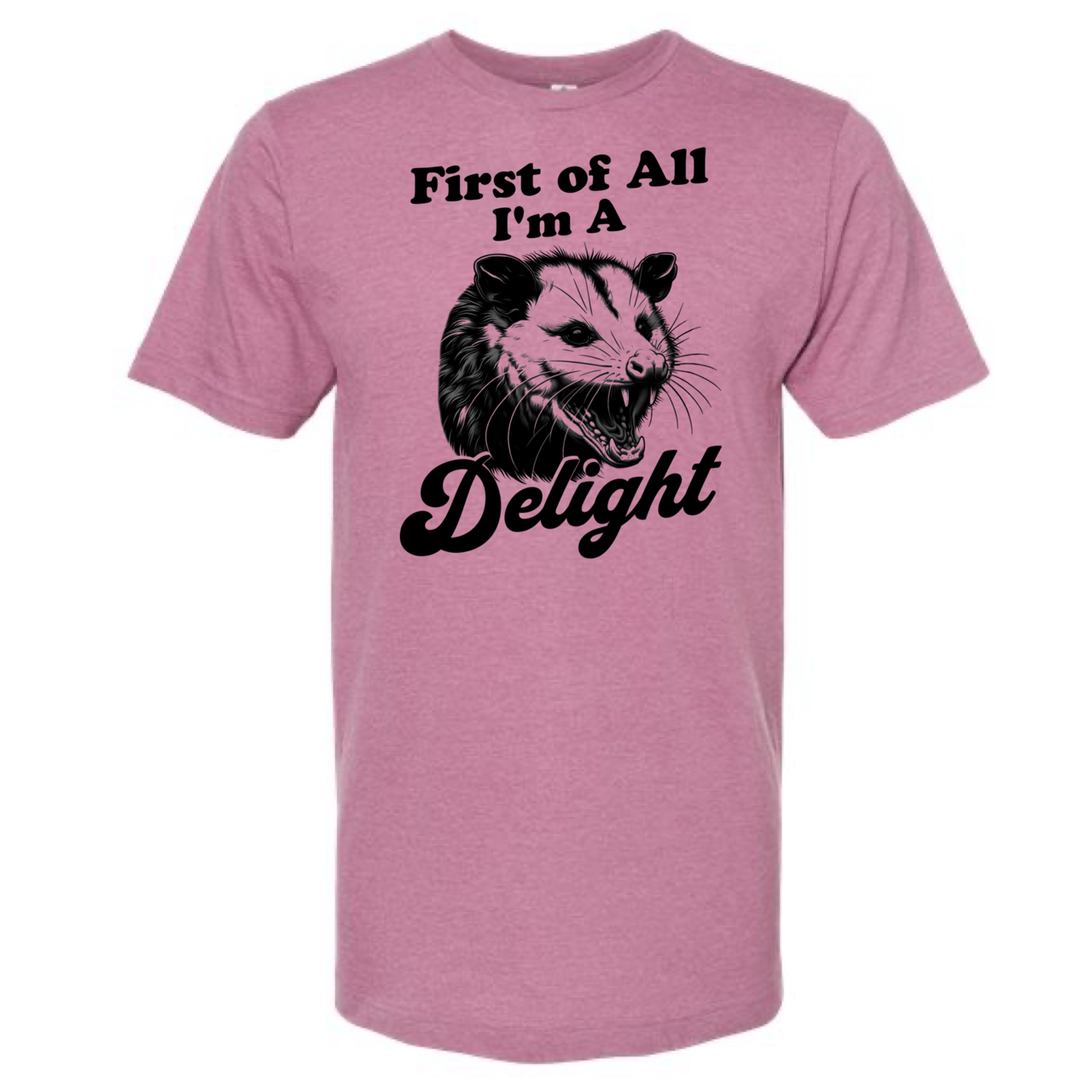
                  
                    First Of All I'm a Delight Tee
                  
                