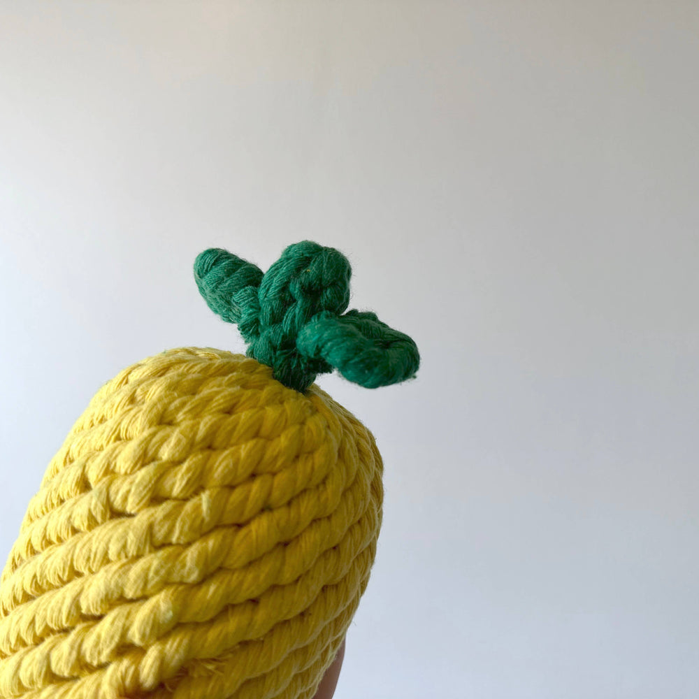 
                  
                    Pineapple Dog Rope Toy
                  
                