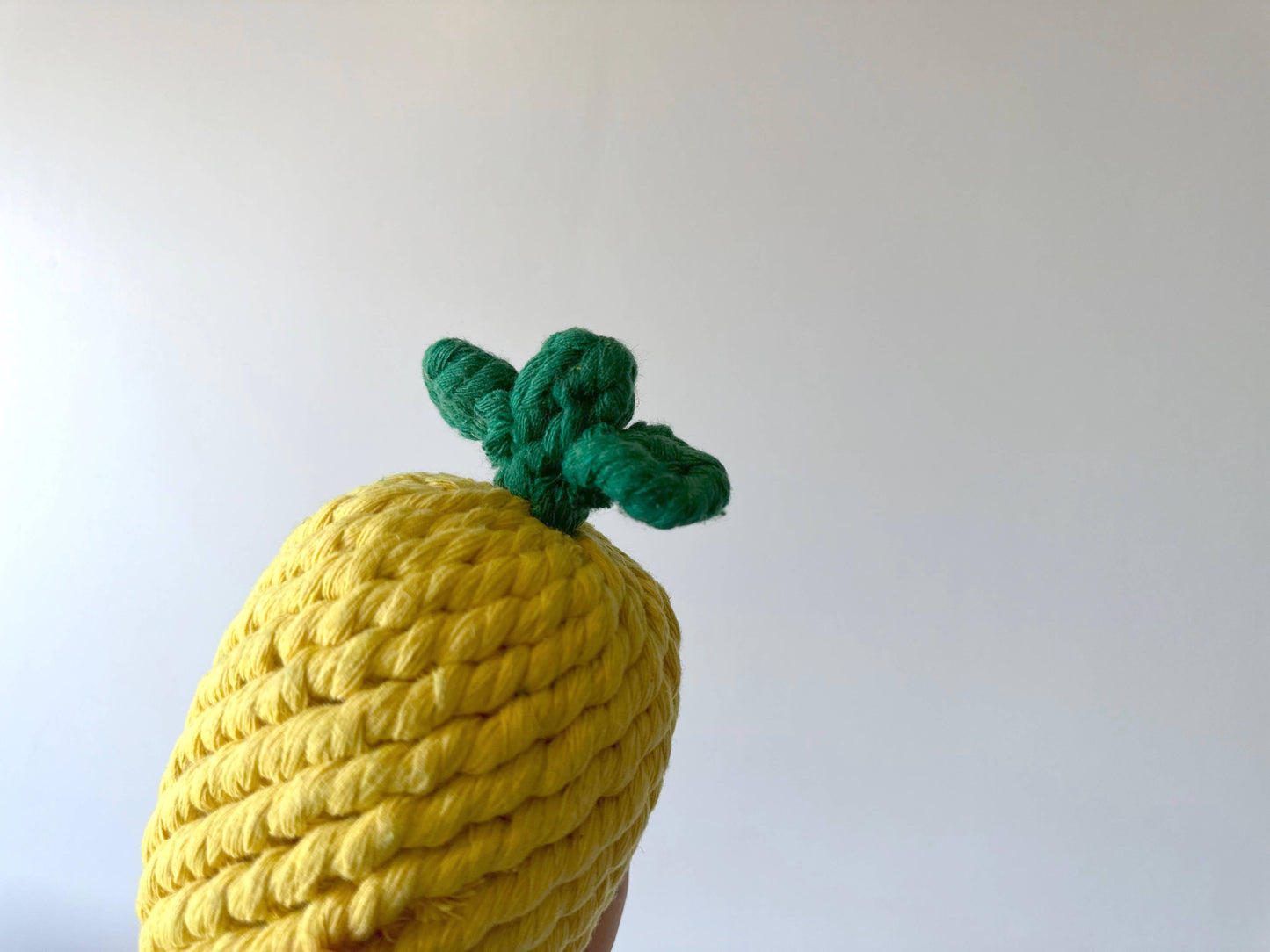 
                  
                    Pineapple Dog Rope Toy
                  
                