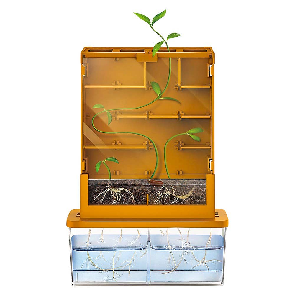 
                  
                    Grow-A-Maze | Green Science
                  
                