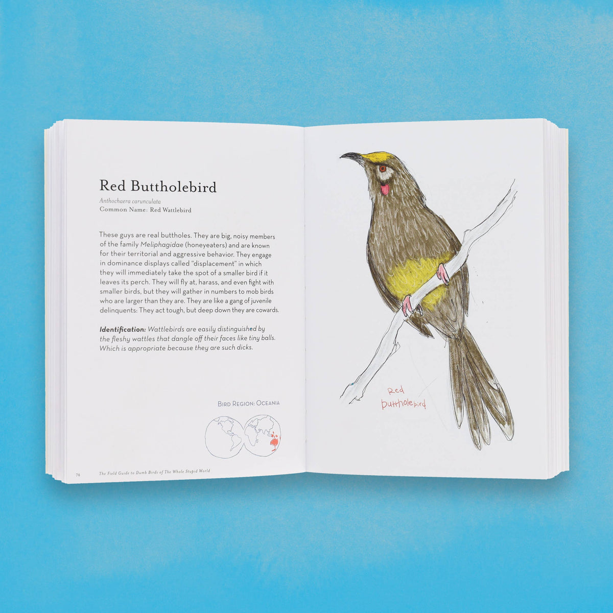 
                  
                    The Field Guide to Dumb Birds of the Whole Stupid World
                  
                