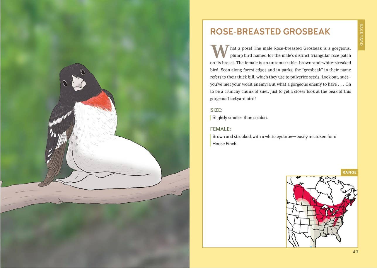 
                  
                    Extremely Accurate Birds by Tommy Siegel
                  
                