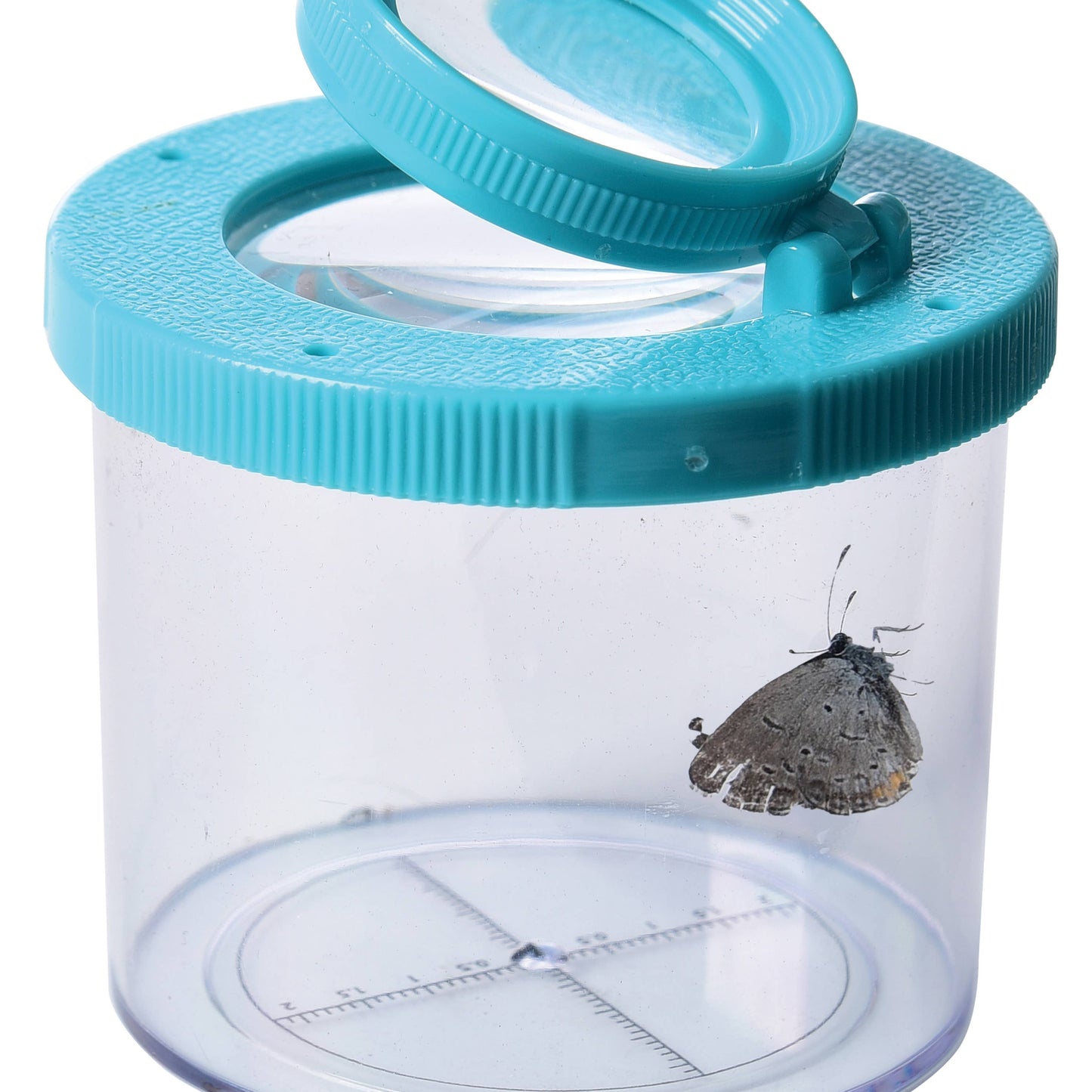 
                  
                    Bug Viewer Observation Jar
                  
                