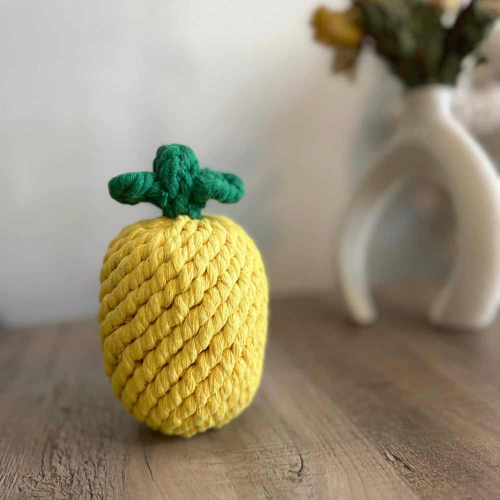 
                  
                    Pineapple Dog Rope Toy
                  
                