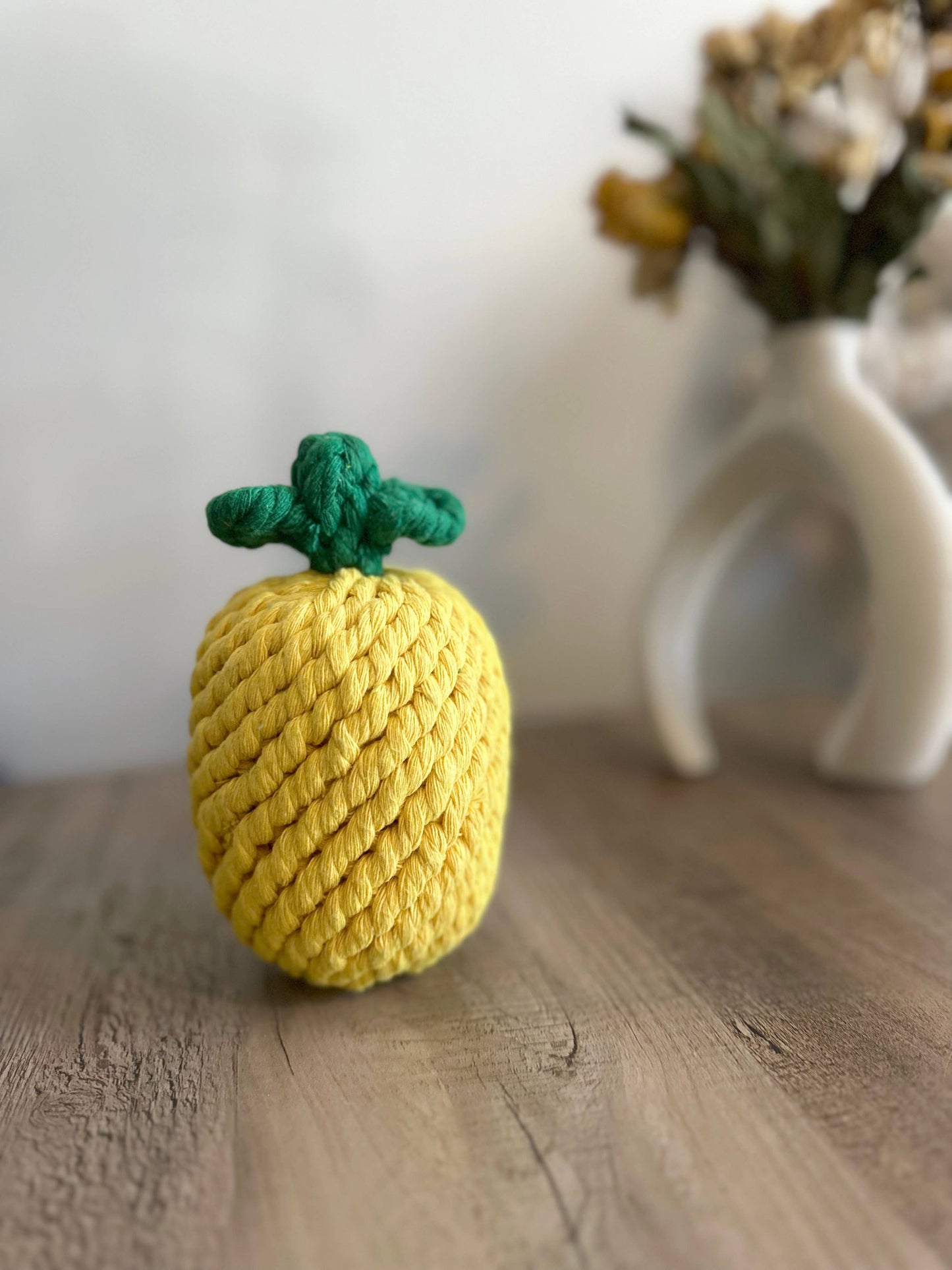 
                  
                    Pineapple Dog Rope Toy
                  
                