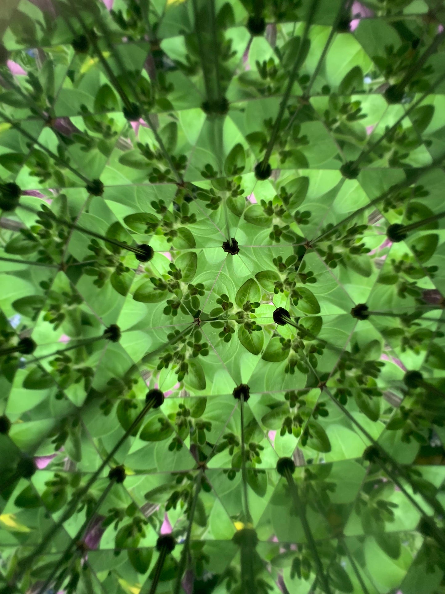 
                  
                    All The Things Kaleidoscope
                  
                