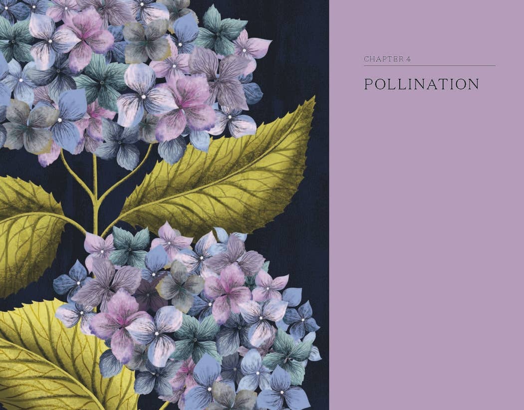 
                  
                    The Hidden Histories of Flowers
                  
                