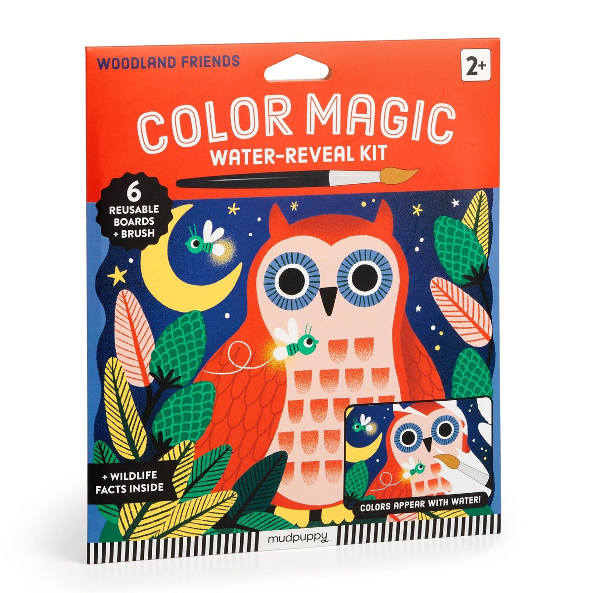 
                  
                    Woodland Friends: A Color Magic Water-Reveal Kit
                  
                