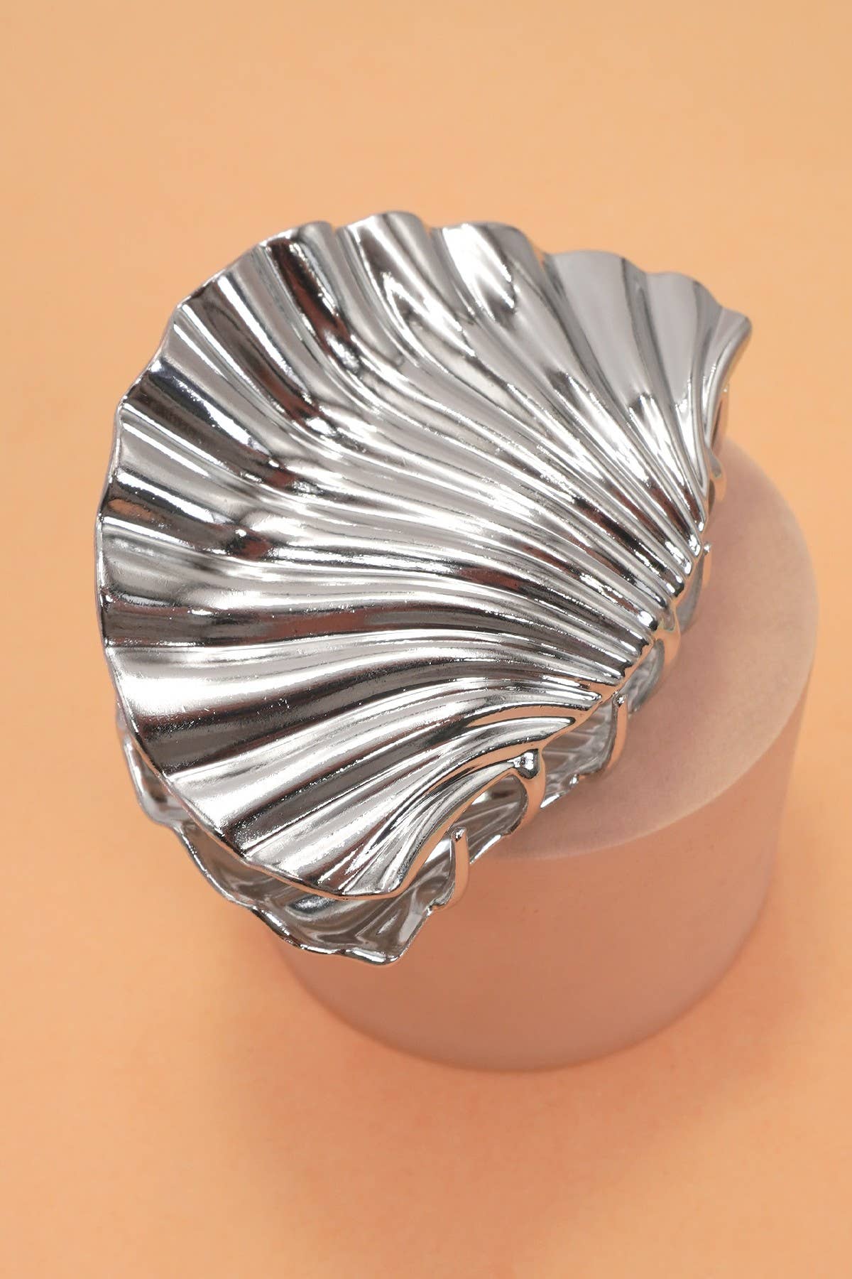 
                  
                    Metal Seashell Hair Claw
                  
                