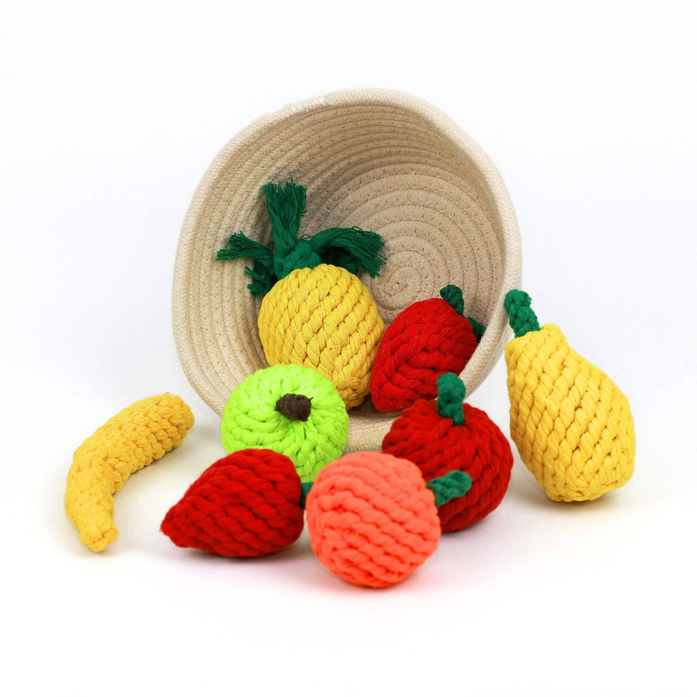 Apple Dog Rope Toy