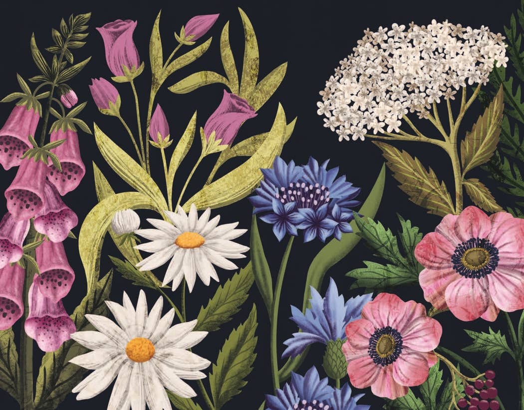 
                  
                    The Hidden Histories of Flowers
                  
                