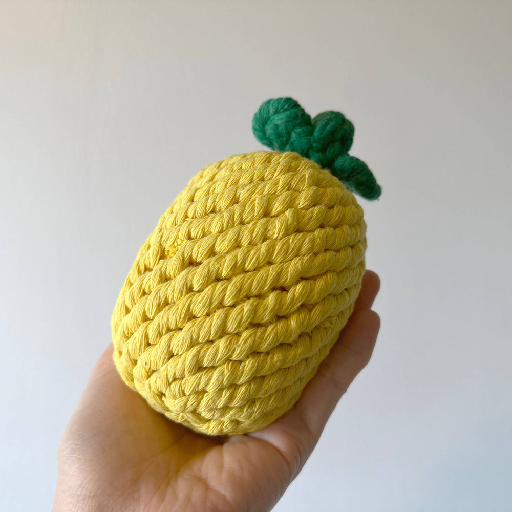 
                  
                    Pineapple Dog Rope Toy
                  
                