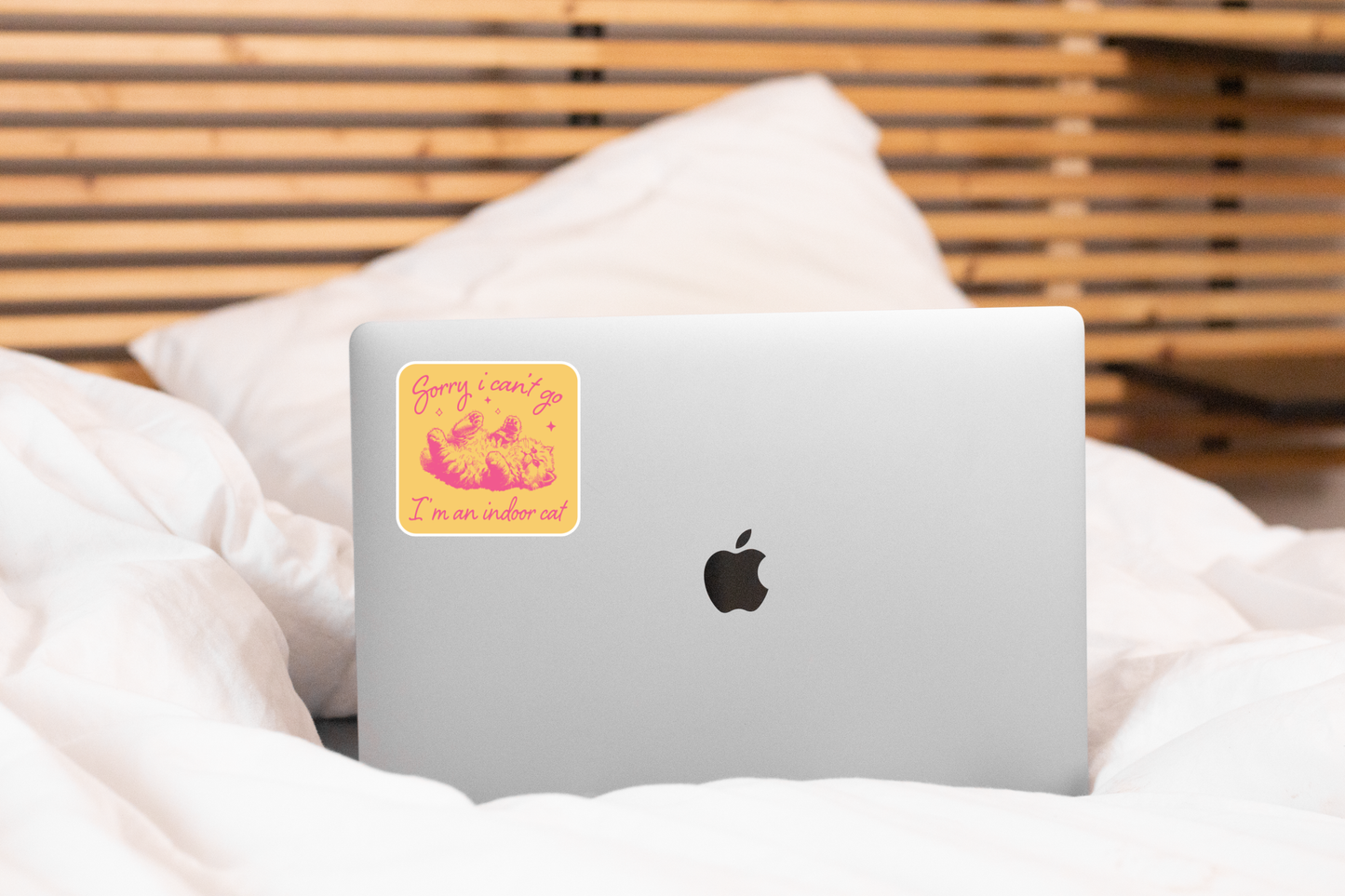 
                  
                    Sorry I Can't Go I'm an Indoor Cat Sticker
                  
                