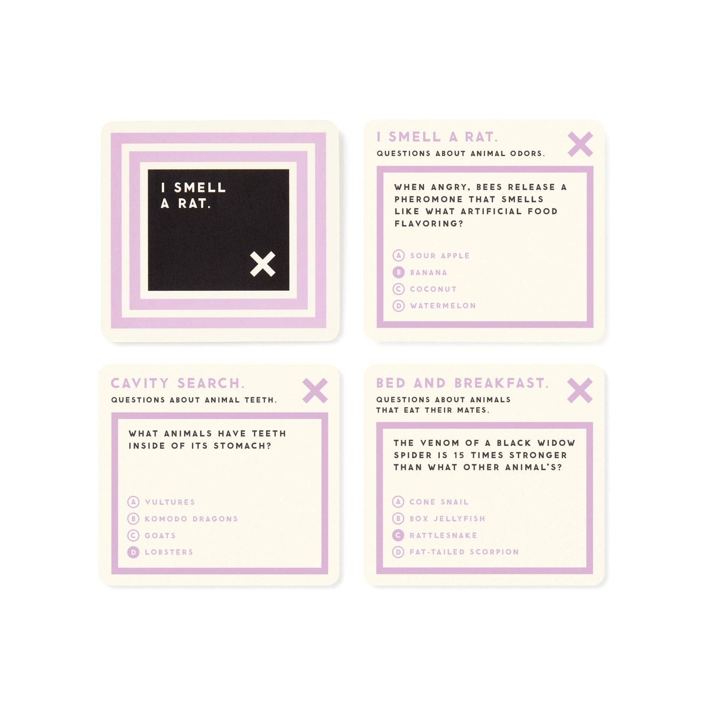 
                  
                    Useless Animal Trivia by Brass Monkey
                  
                