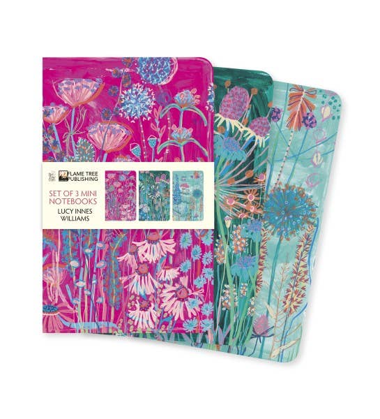 
                  
                    Lucy Innes Williams: Set of 3 Mini Notebooks
                  
                