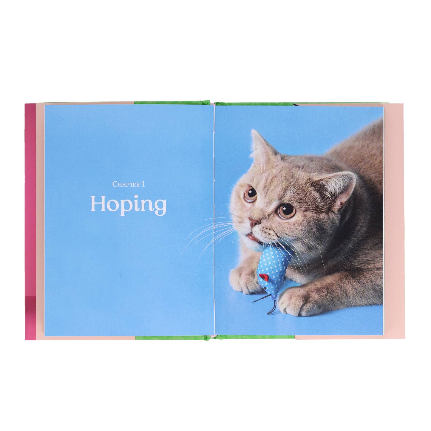 
                  
                    Oh. It's You. -- Love Poems by Cats
                  
                