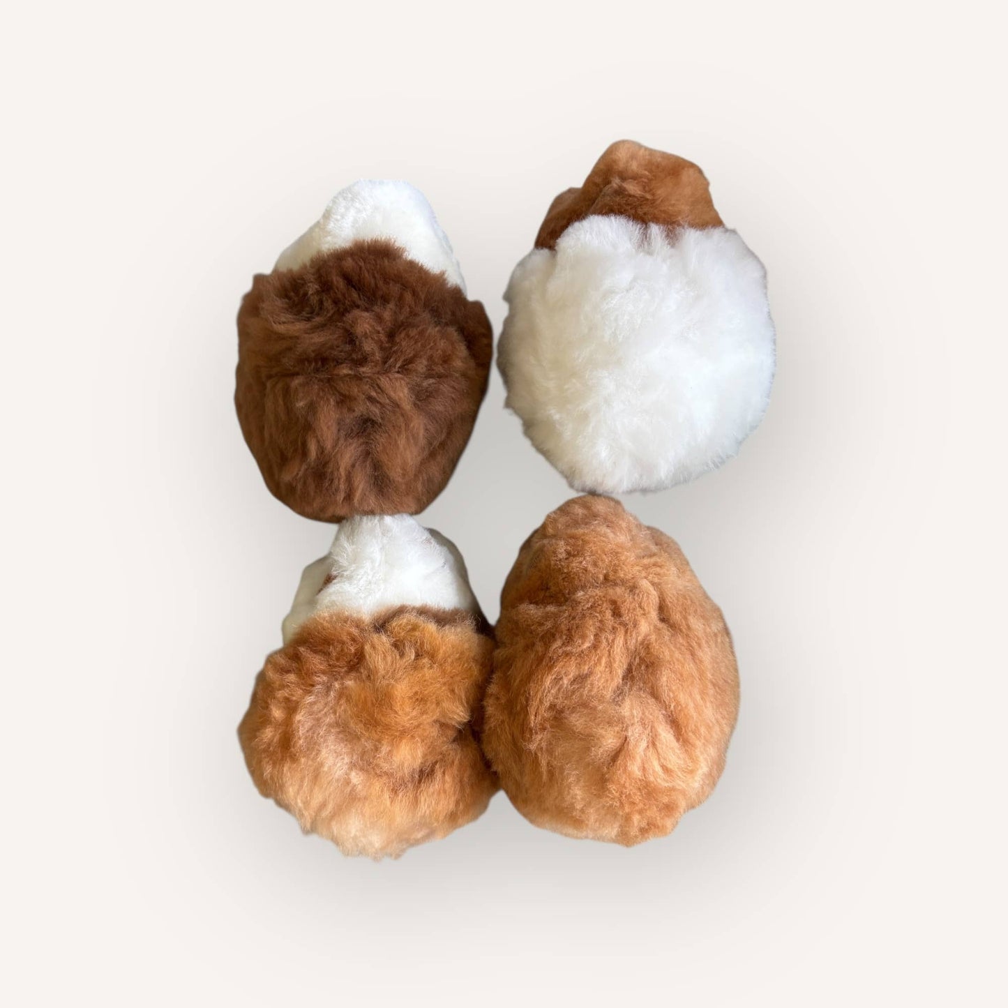
                  
                    The Floofiest Guinea Pig of Alpaca Wool
                  
                