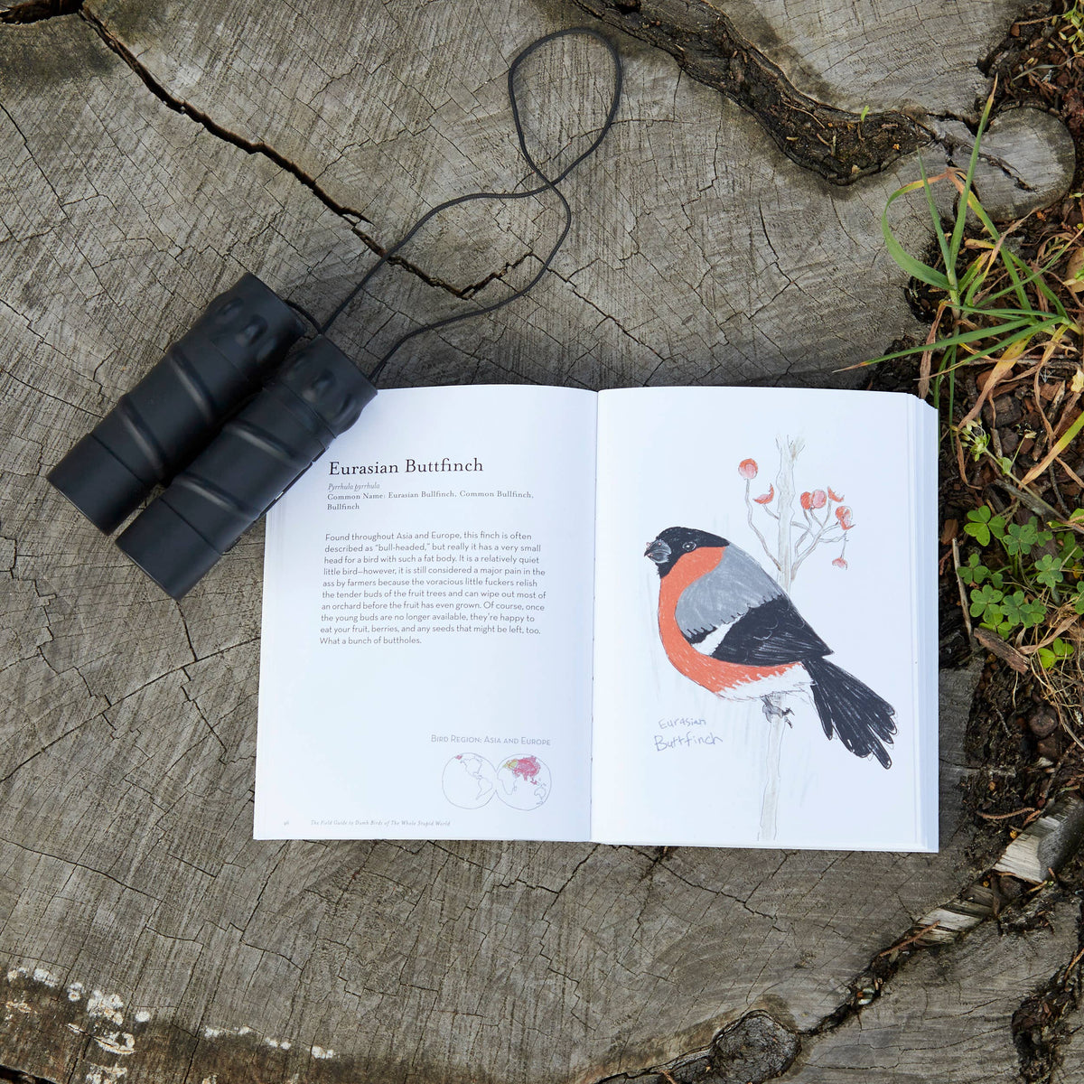 
                  
                    The Field Guide to Dumb Birds of the Whole Stupid World
                  
                