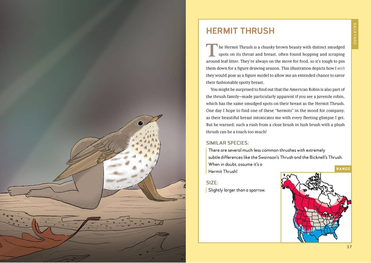 
                  
                    Extremely Accurate Birds by Tommy Siegel
                  
                